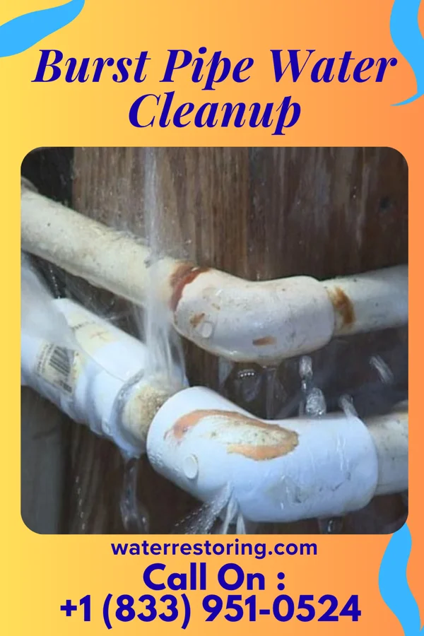 Burst Pipe Water Cleanup in Ottoville, OH