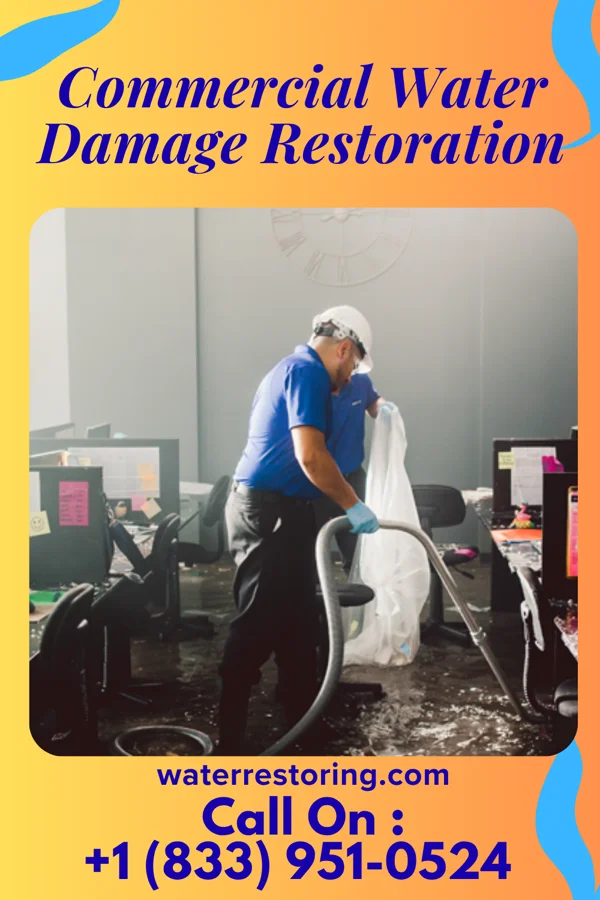 Commercial Water Damage Restoration in Ottoville, OH