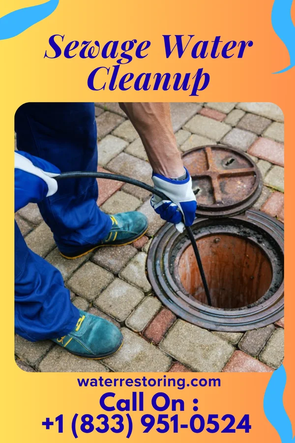 Sewage Water Cleanup in Ottoville, OH